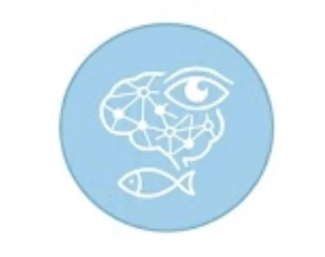 Tinh dầu thông đỏ Red Pine Viko